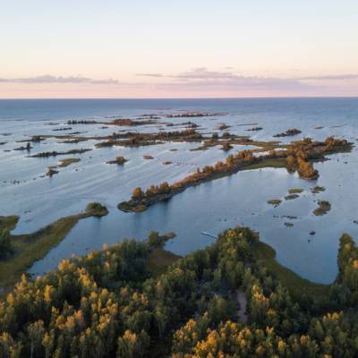 Aerial photo of nordic archipelago. Islands, sea, pinetrees.