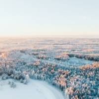Snow covered trees during daytime, aerial photo of a forest in Finland.