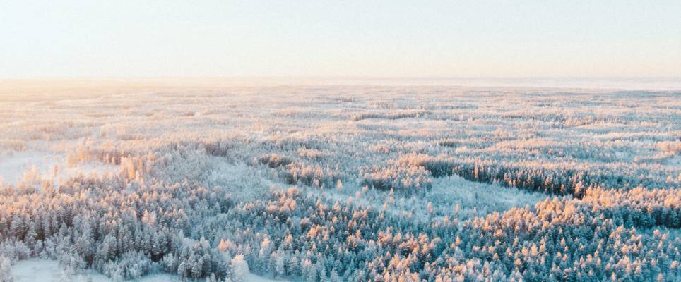 Snow covered trees during daytime, aerial photo of a forest in Finland.