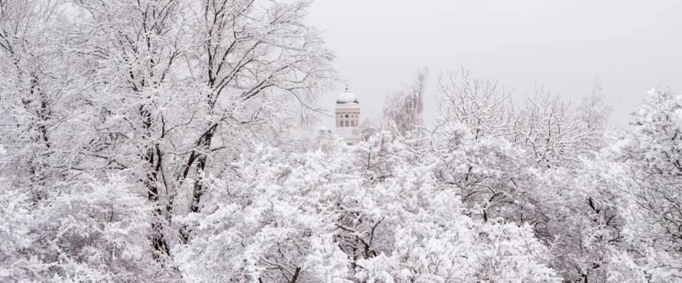 Winter landscape in Helsinki, Finland. Snow on the ground and on trees, Helsinki Cathedral peeks through the trees.