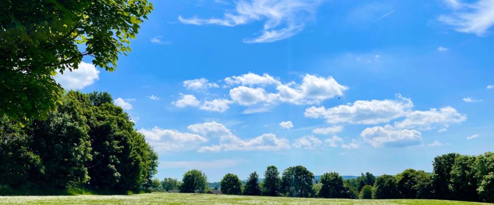 Kesäinen niitty ja sininen taivas